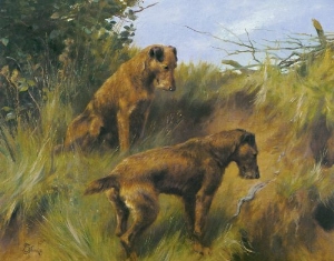 blog-image