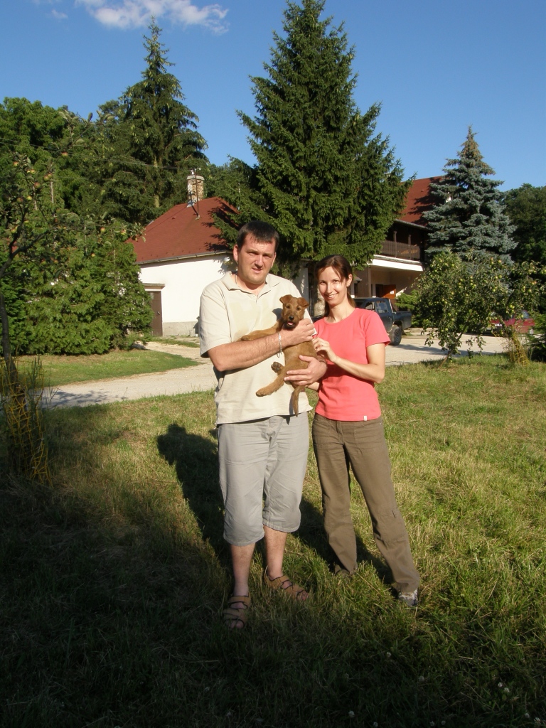 blog-image
