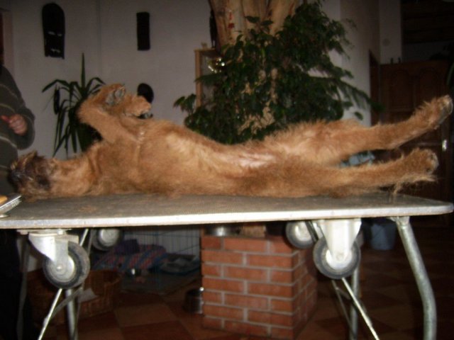 phoca_thumb_l_KASZ_002