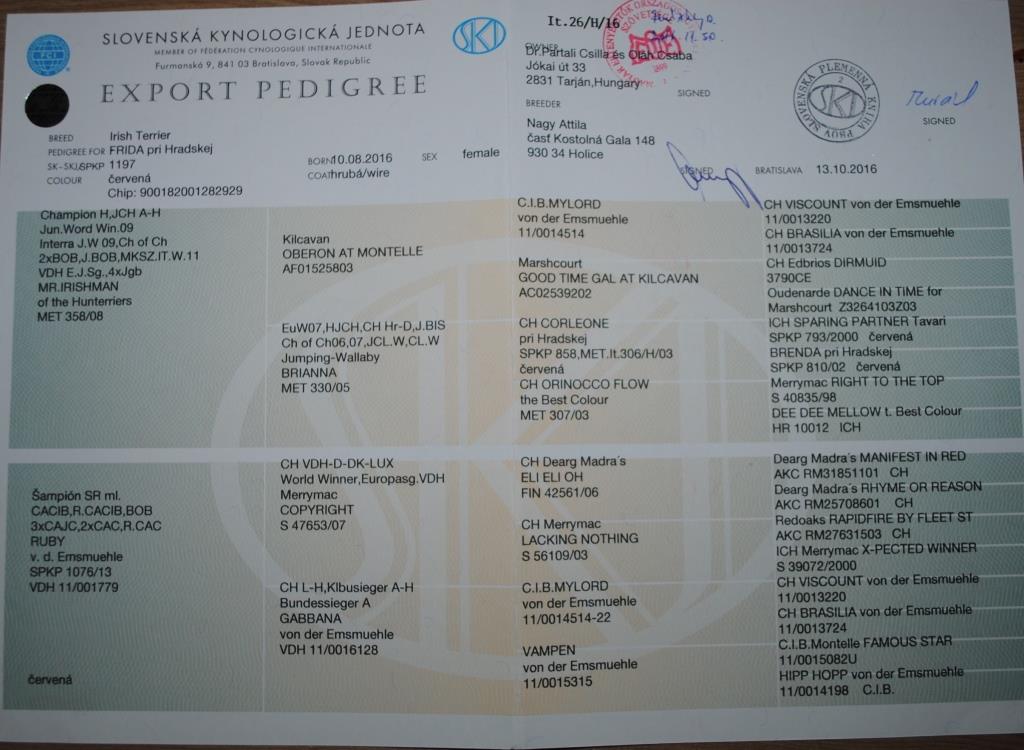 blog-image